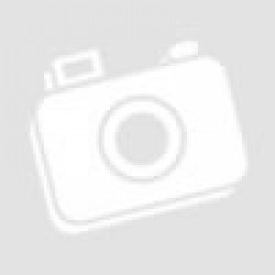 SANDISK Extreme Pro MicroSDXC UHS-II CARD