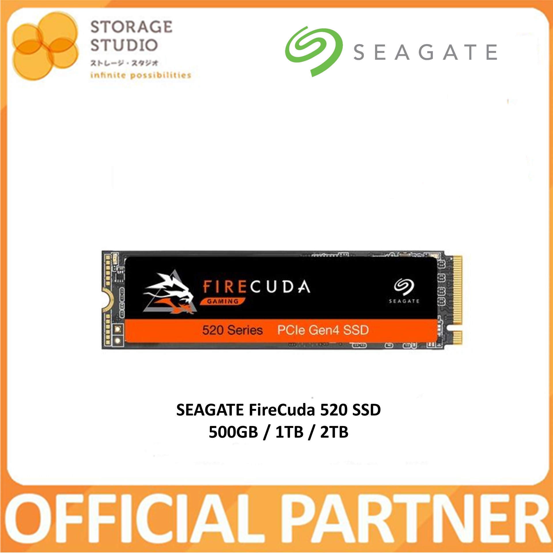 SSD Seagate ZP1000GM3A002 1TB M.2 PCIe